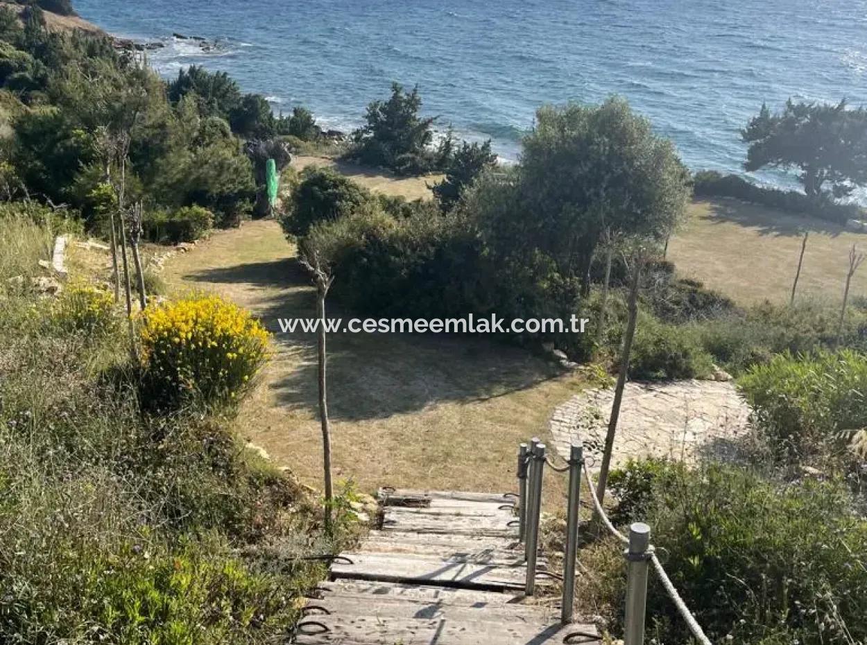 Volles Meer Manz Bei Çeşme Ayasaranda. Monatsmiete 1 1 Residence Wohnung