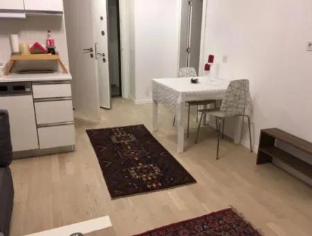 Saisonale Vermietung Meer In Cesme Zentrum 20M. 1 1 Wohnung