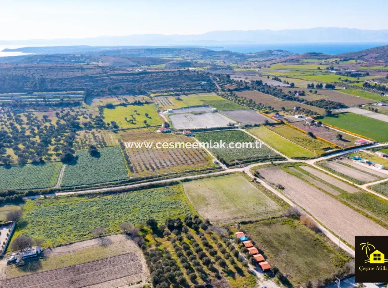 12 Acres Of Land For Sale In Çeşme Ovacik