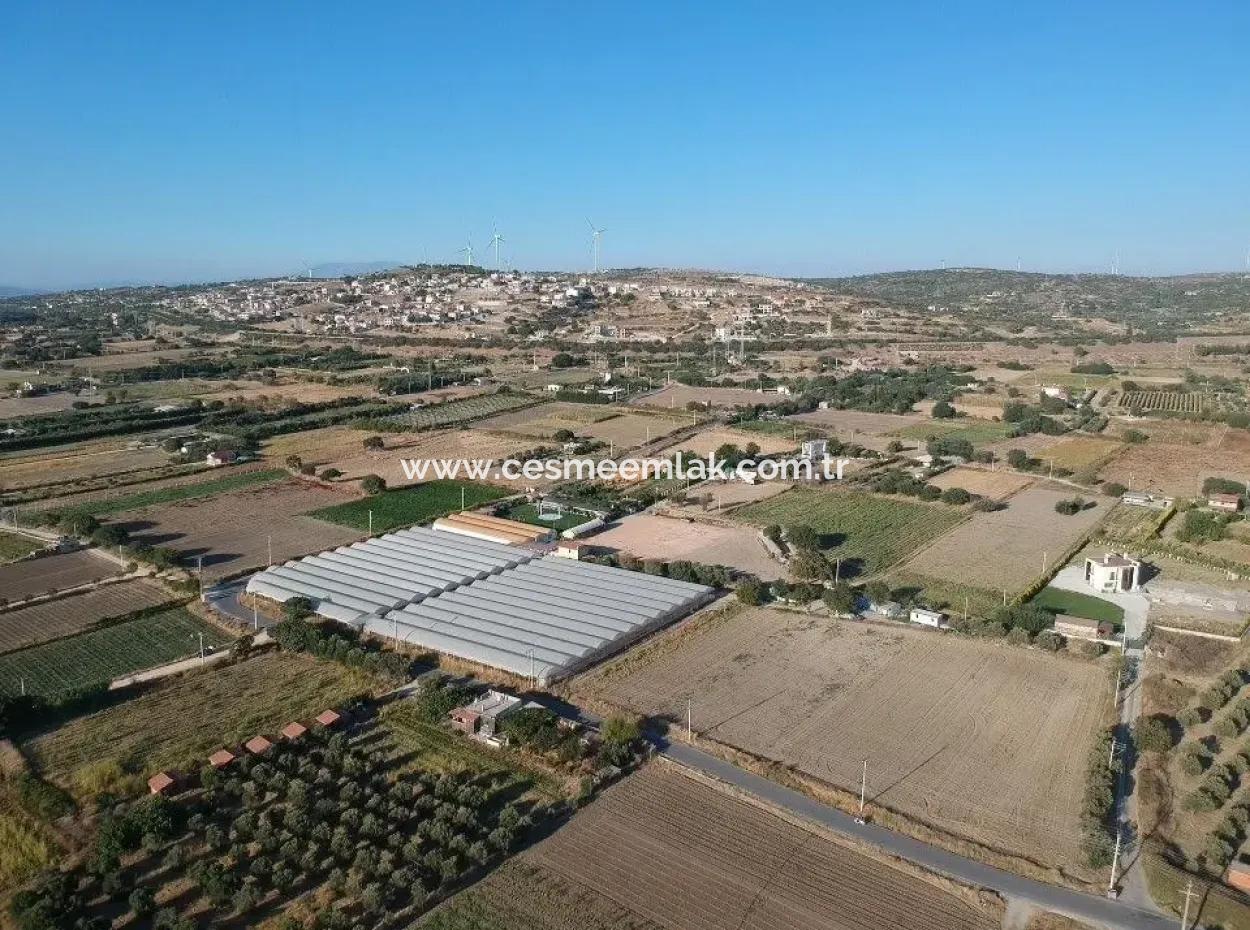 Stone House For Sale In Cesme