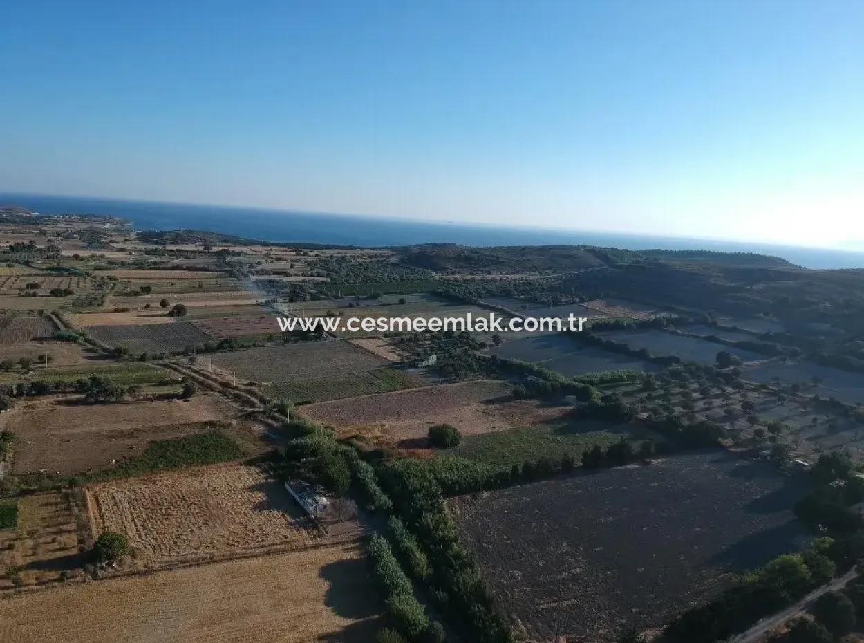 Stone House For Sale In Cesme