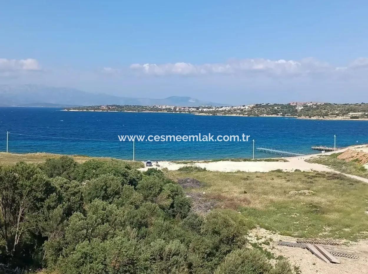 Çeşme Dalyan'da Ağustos Ayı Kiralık Havuzlu 1+1 Residence Daire